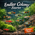 Endler Colony Starter Pack product photo 1
