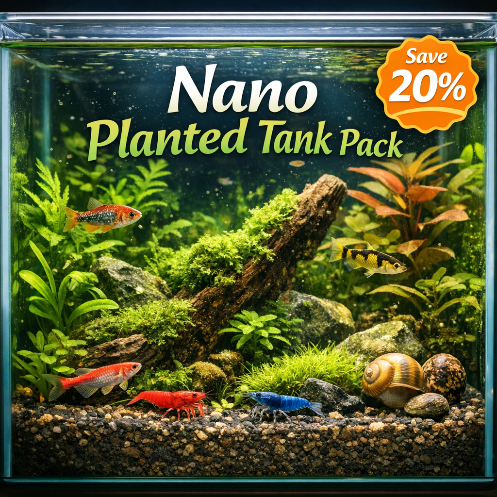 Nano Planted Tank Bundle product photo 1