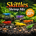 Skittles Shrimp Color Mix Bundle product photo 1